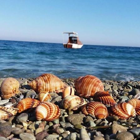Κατοικία Πανόραμα, Πραγματευτή Λεωνιδίου, Τ.Κ.22300 Leonidio Exterior photo