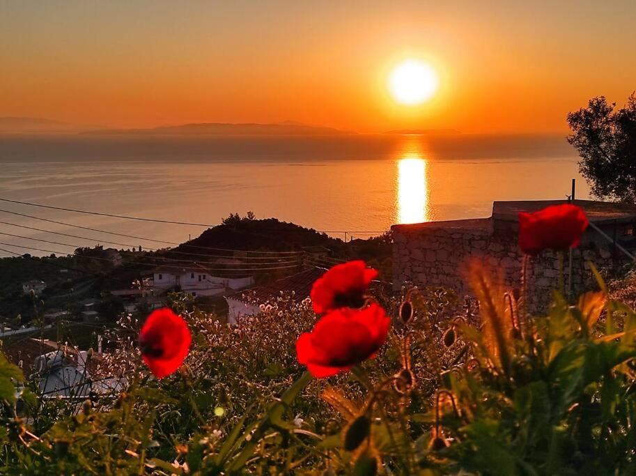 Κατοικία Πανόραμα, Πραγματευτή Λεωνιδίου, Τ.Κ.22300 Leonidio Exterior photo
